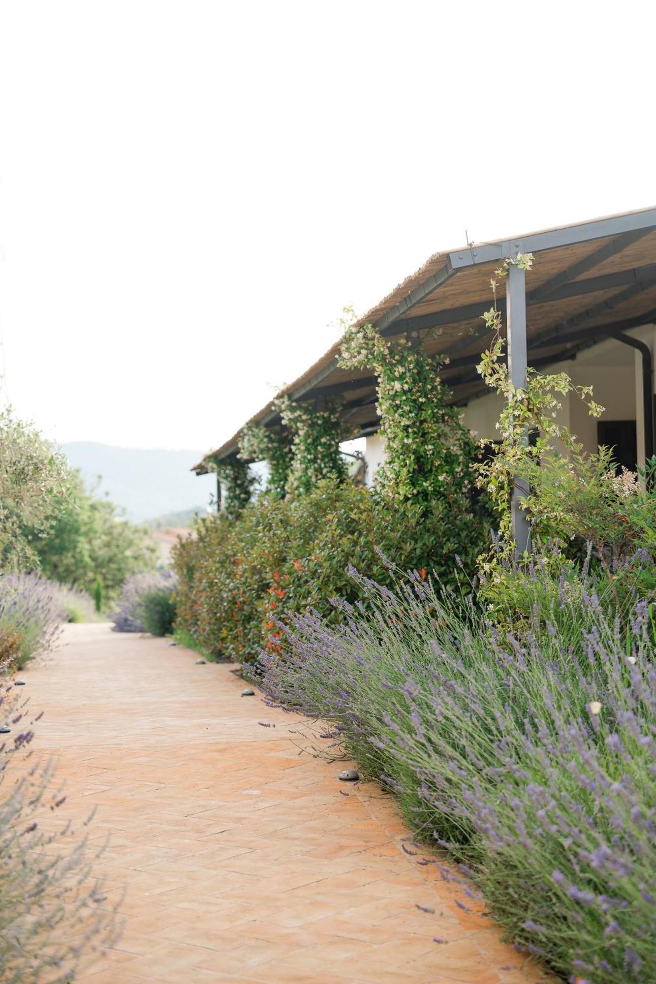 Hortus Natural Living Todi Eksteriør billede